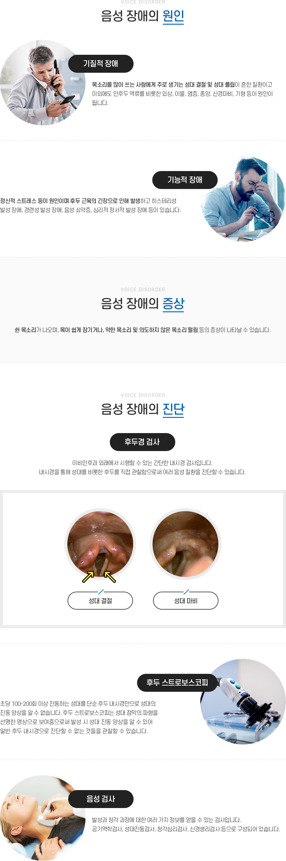 음성 장애 증상